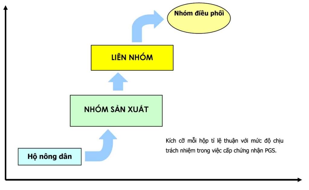 Structure of PGS