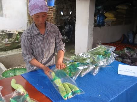Harvesting, preliminary processing, and traceability