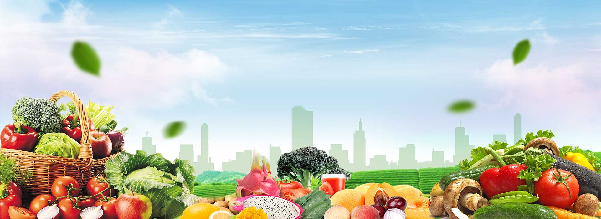 What are organic vegetables? Standard steps for organic vegetable production