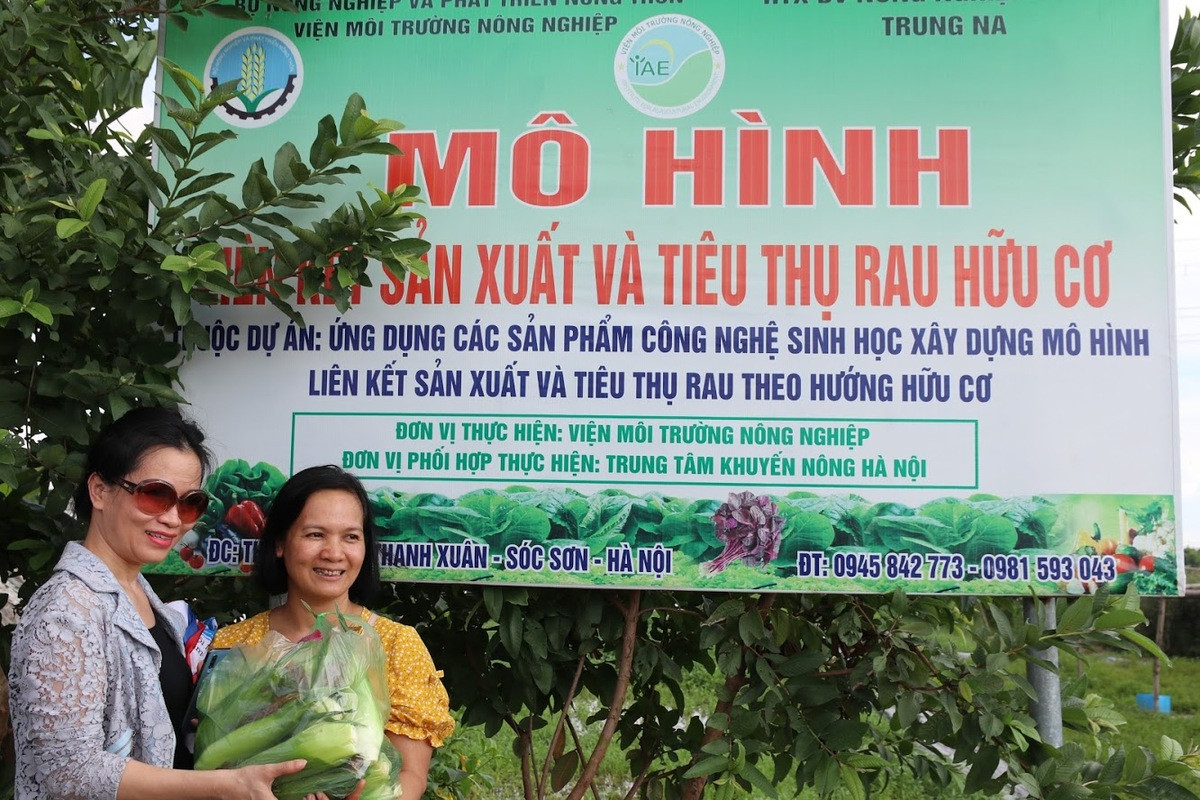 Organic Agriculture and the New Direction for Many Cooperatives