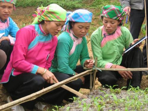 Organic Vegetable Farming Handbook