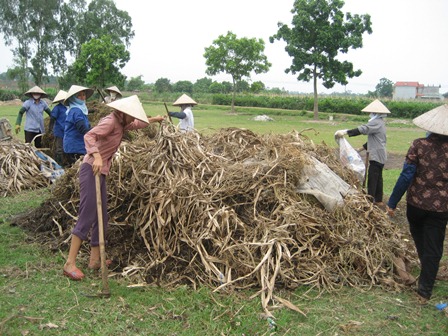 List of approved inputs for organic production (Part 2)