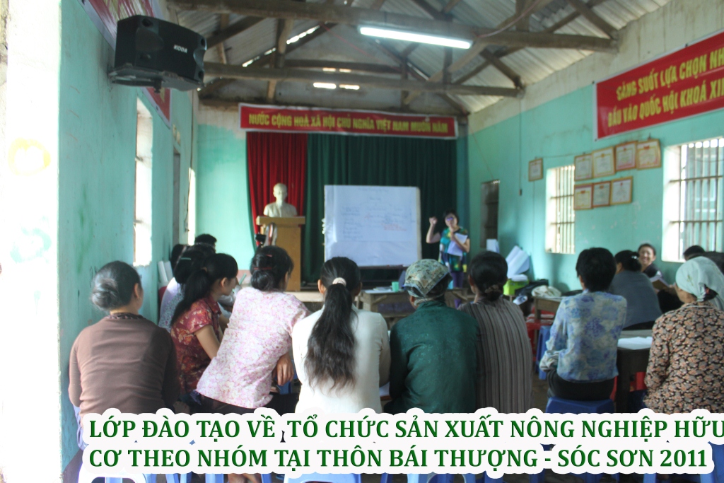 Training — Photo 4 — PGS Vietnam