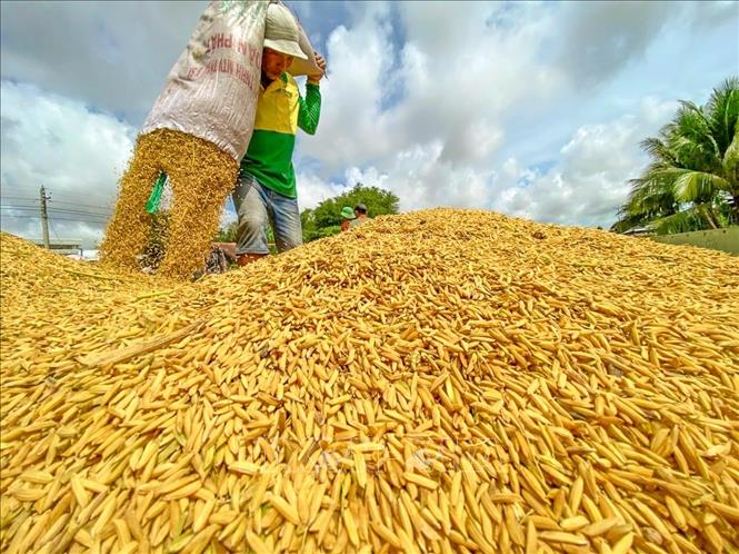 Brochure: Participatory Guarantee Systems (PGS) for Organic Agriculture in the Greater Mekong Subregion