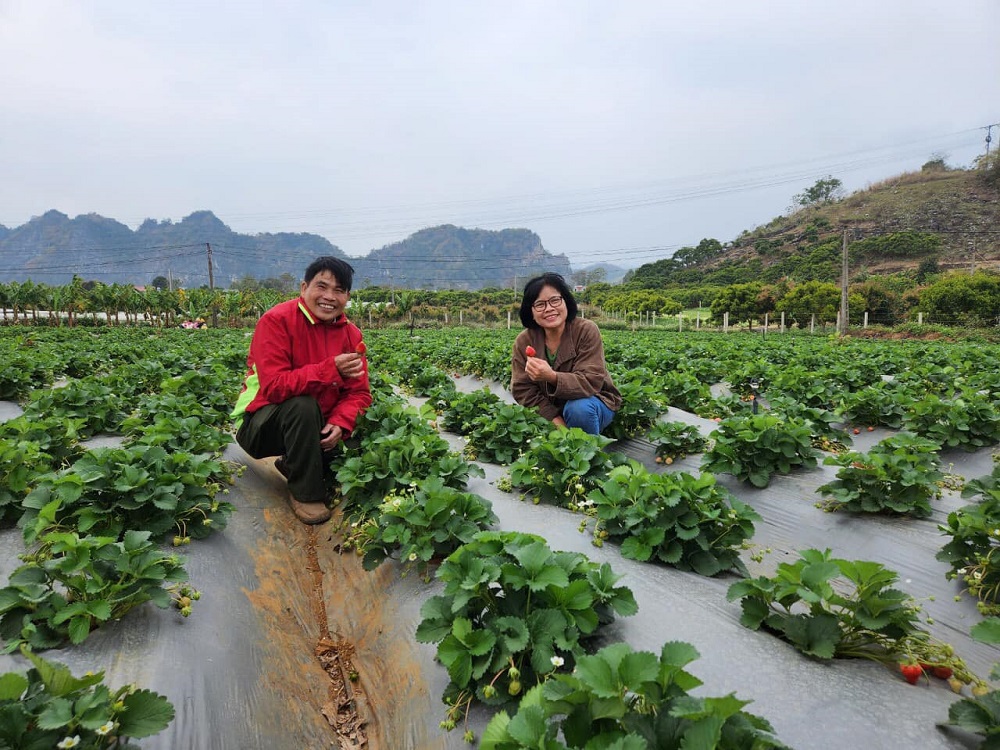 PGS Vietnam: The Bridge Connecting Farmers, Businesses, and Consumers