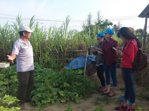 Thanh Dong Organic Vegetable Garden — the birthplace of organic agriculture in Central Vietnam
