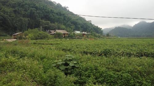 Survey and selection of suitable production areas by the MOAP Project Management Board