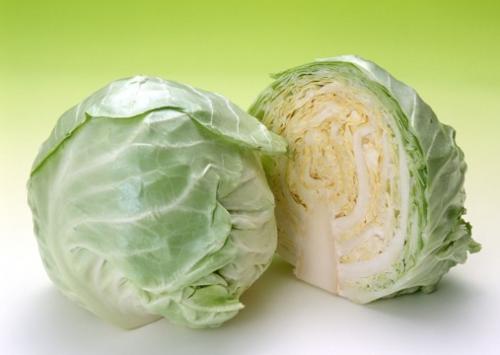 Distinguishing organic cabbage samples from safe cabbage by sensory evaluation