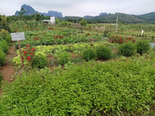 List of certified farmer groups & private farms in August 2020