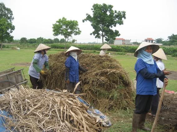 Hot composting and soil preparation