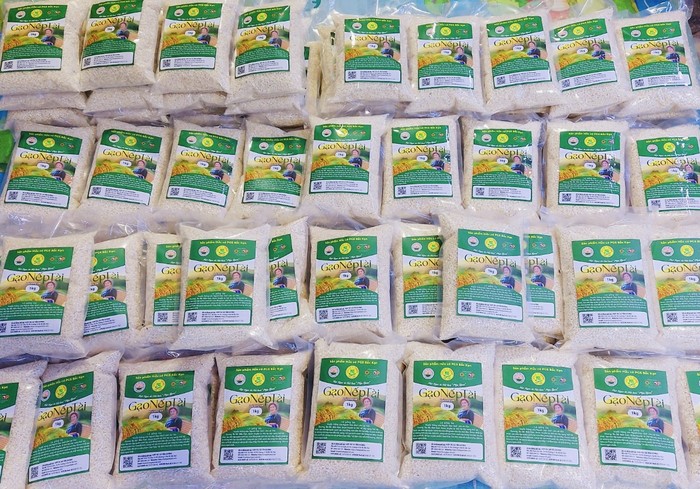 Bac Kan – Developing sustainable organic agriculture applying the Participatory Guarantee System (PGS)