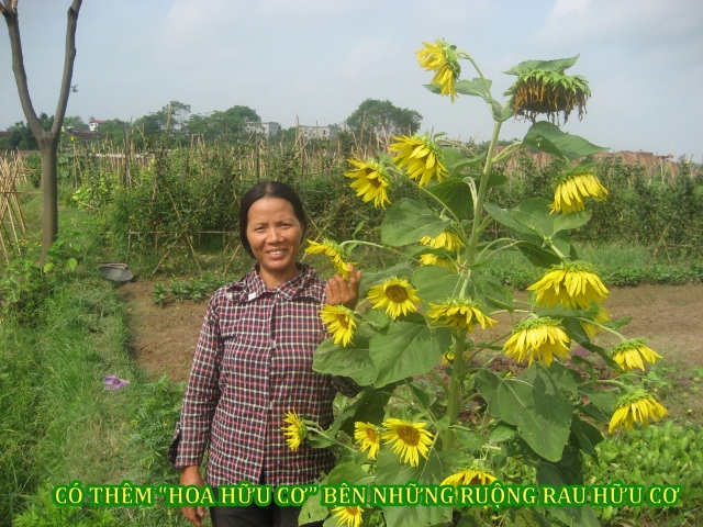 Organic Production Photos — PGS Vietnam