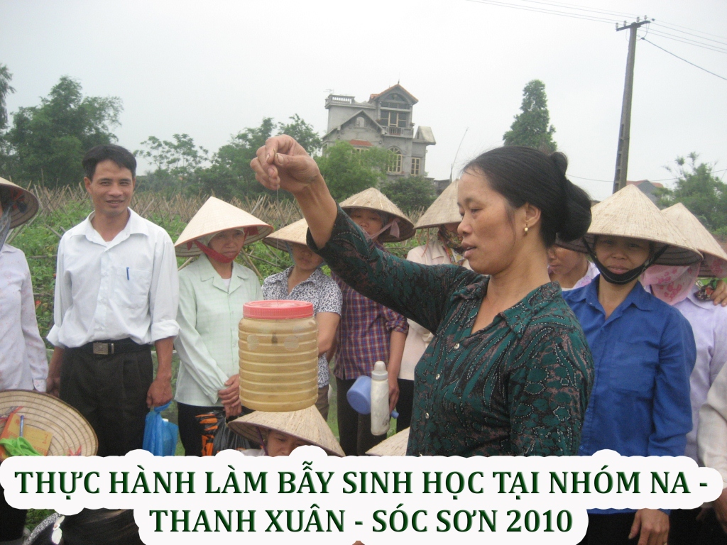 Organic Production — Photo 7 — PGS Vietnam