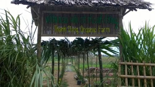PGS Development in Hoi An