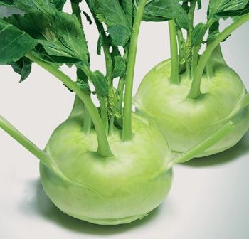 Distinguishing organic kohlrabi samples from safe kohlrabi by sensory evaluation