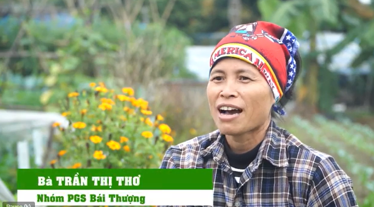 Reportage on PGS Organic Vegetables