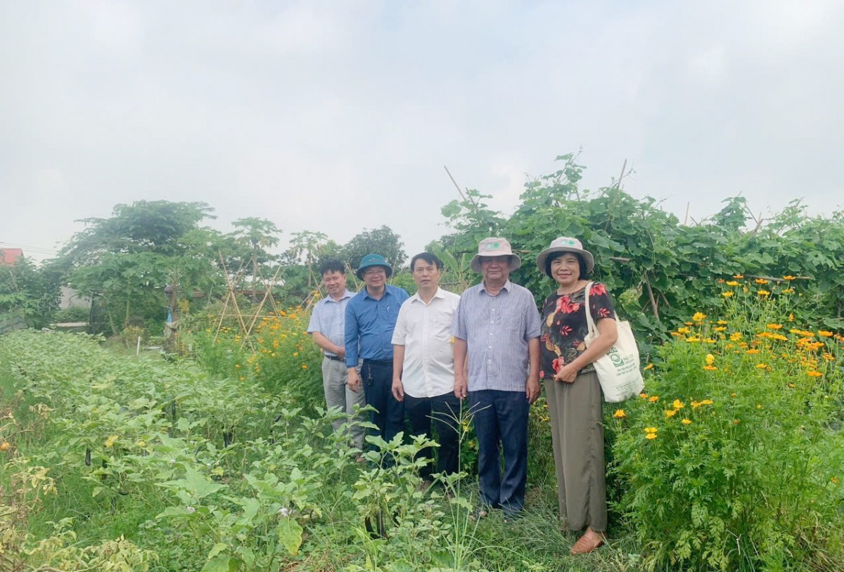 Japanese-style organic composting: A solution for PGS Thanh Xuan farmers to take control of their inputs