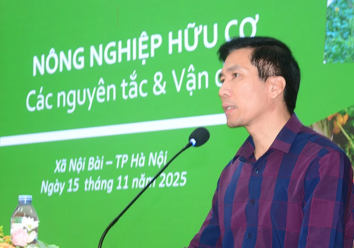 The 'Field of Knowledge' in Noi Bai