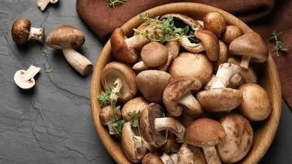 4 easy-to-cook mushrooms to add to your daily menu