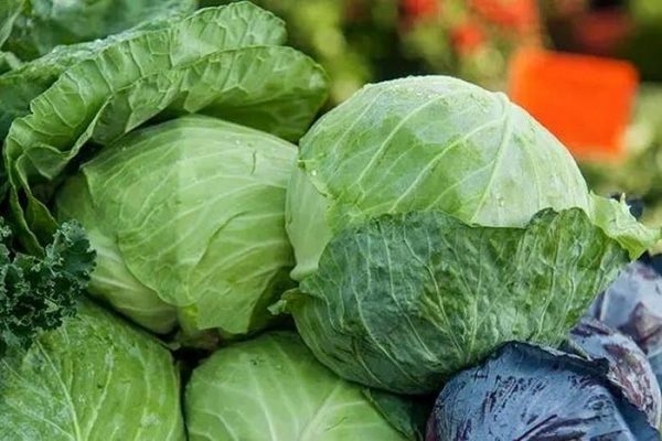 5 winter vegetables rich in fiber and great for gut health