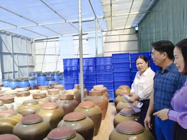 Checking the progress of trial production of vegetarian mushroom fish sauce in Quang Tri province