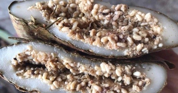 The "culprit" behind allergies from the unique ant egg cake?