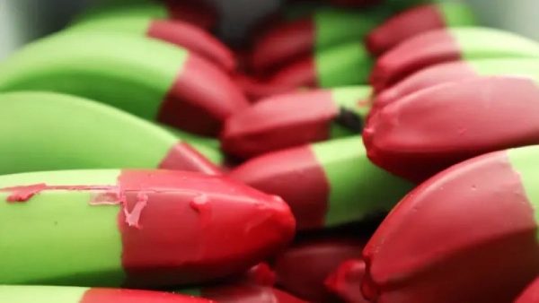 Clean and unique red-tipped bananas from Australian farmers take the internet by storm