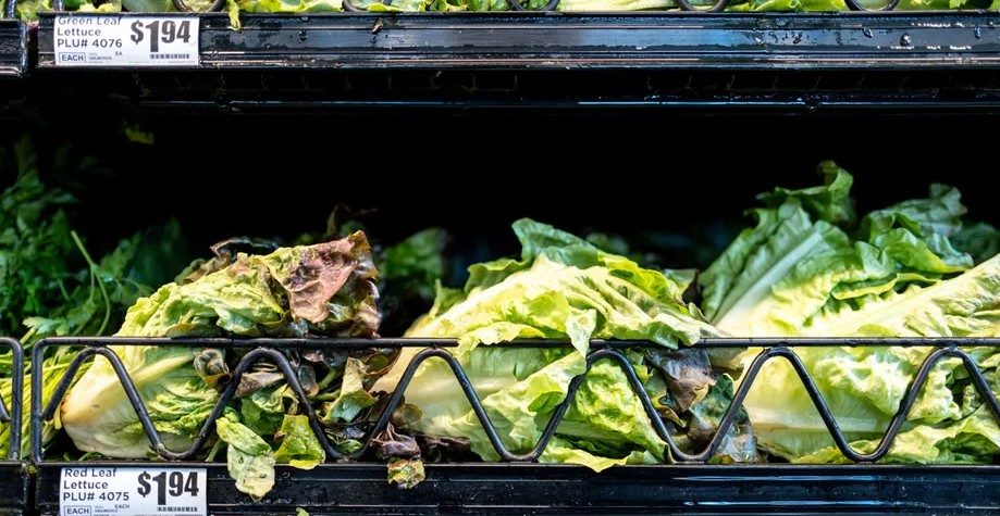 United States ends parasite outbreak linked to lettuce