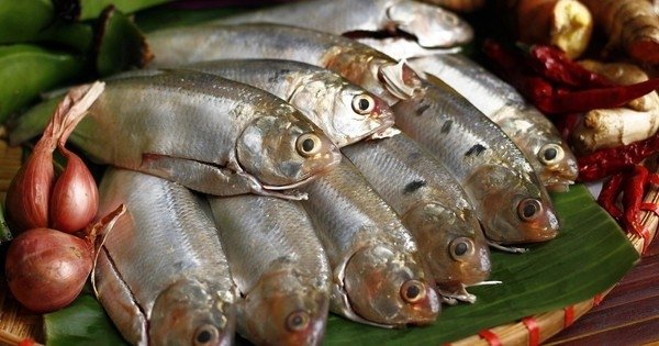 Tips for perfectly braised sardines, boosting natural calcium and omega-3s