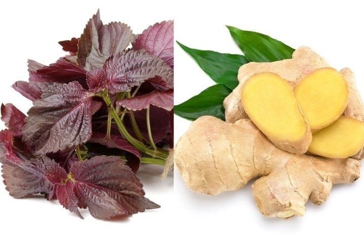 The herbal remedy of perilla leaves boiled with ginger everyone needs to know