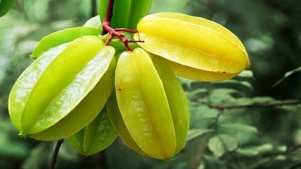 Why is eating star fruit beneficial for health?