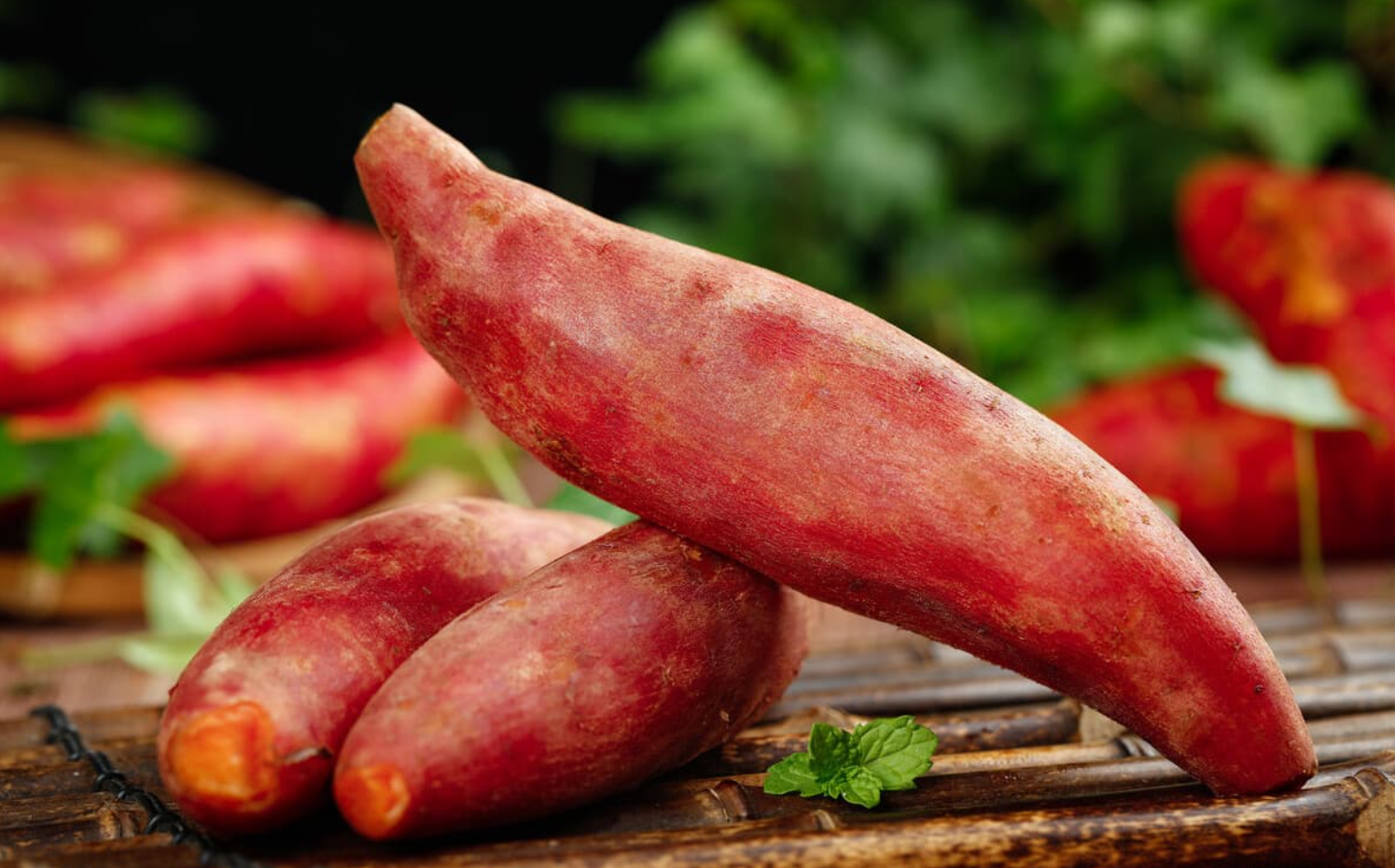 Foods good for the eyes and nervous system that exam candidates should not overlook