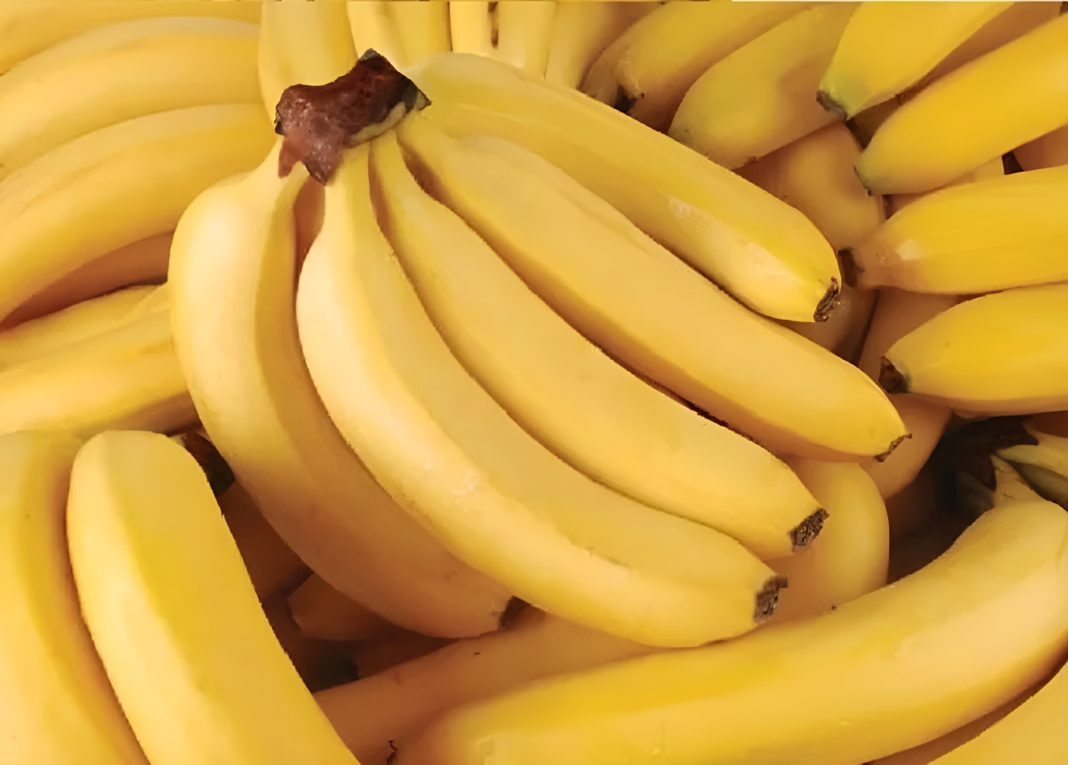 Ripe bananas help the gut microbiome thrive and stabilize bowel motility.
