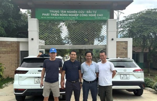 Dakka black pig – a new step forward for Central Highlands agriculture, elevating Dak Lak province's specialty