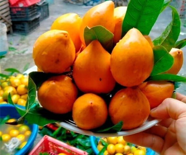The once-fallen fruit that carpeted backyards is now a delicacy: Plant once, harvest for years