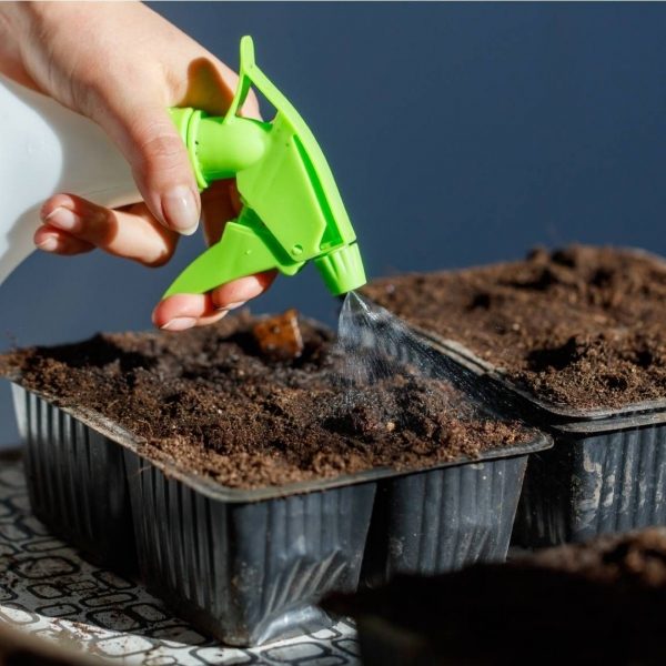DIY excellent antifungal spray for garden plants using 1 kitchen ingredient
